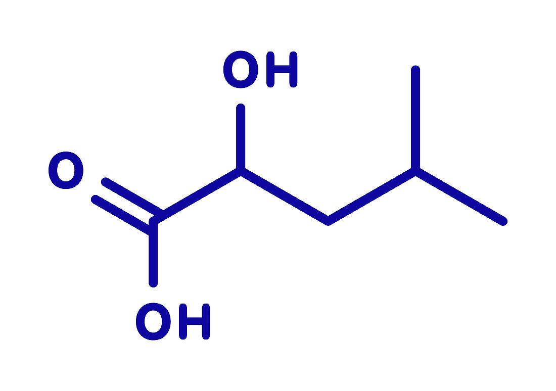 Leucic acid molecule, illustration