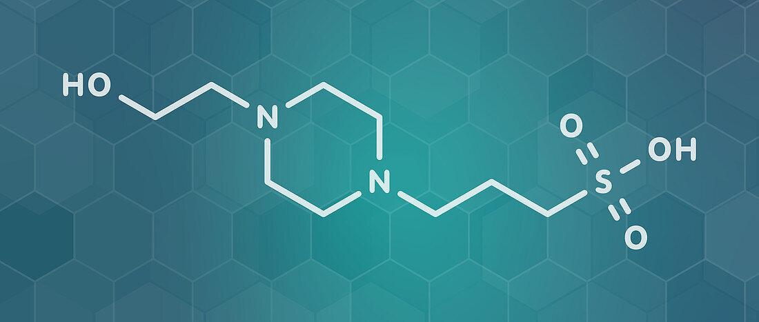 HEPPS buffering agent molecule, illustration