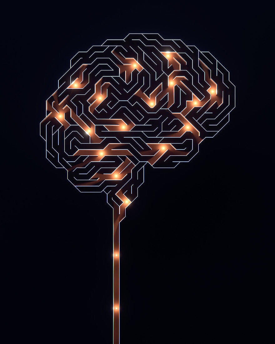 Human brain, conceptual illustration