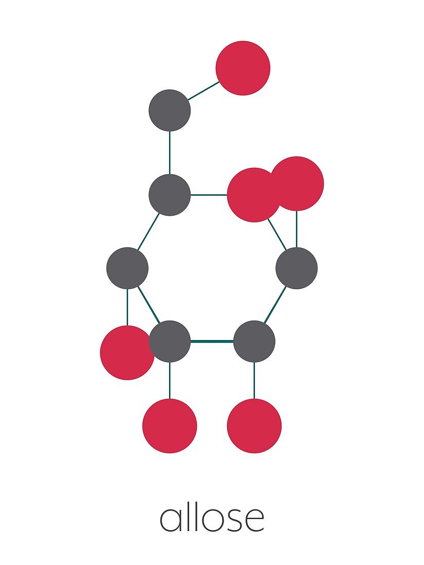 Allose sugar molecule, illustration