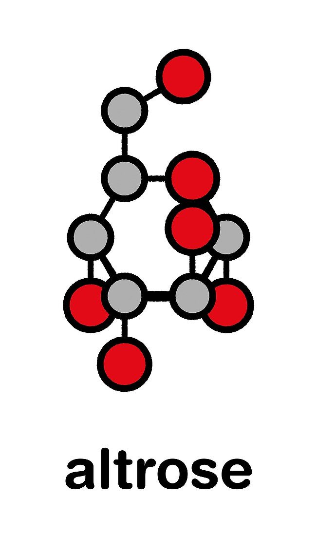 Altrose sugar molecule, illustration