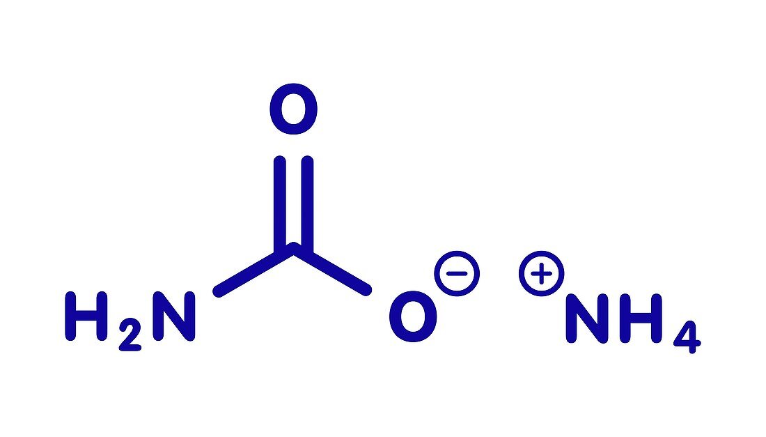 Ammonium carbamate molecule, illustration