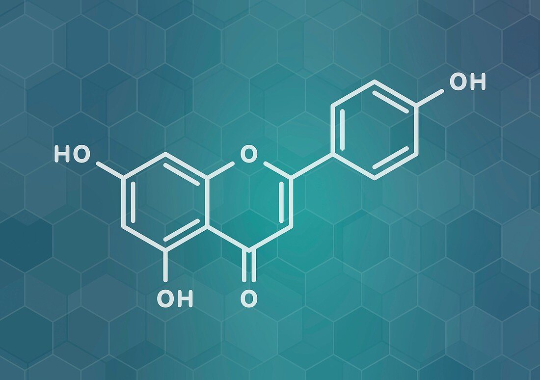 Apigenin yellow herbal dye molecule, illustration