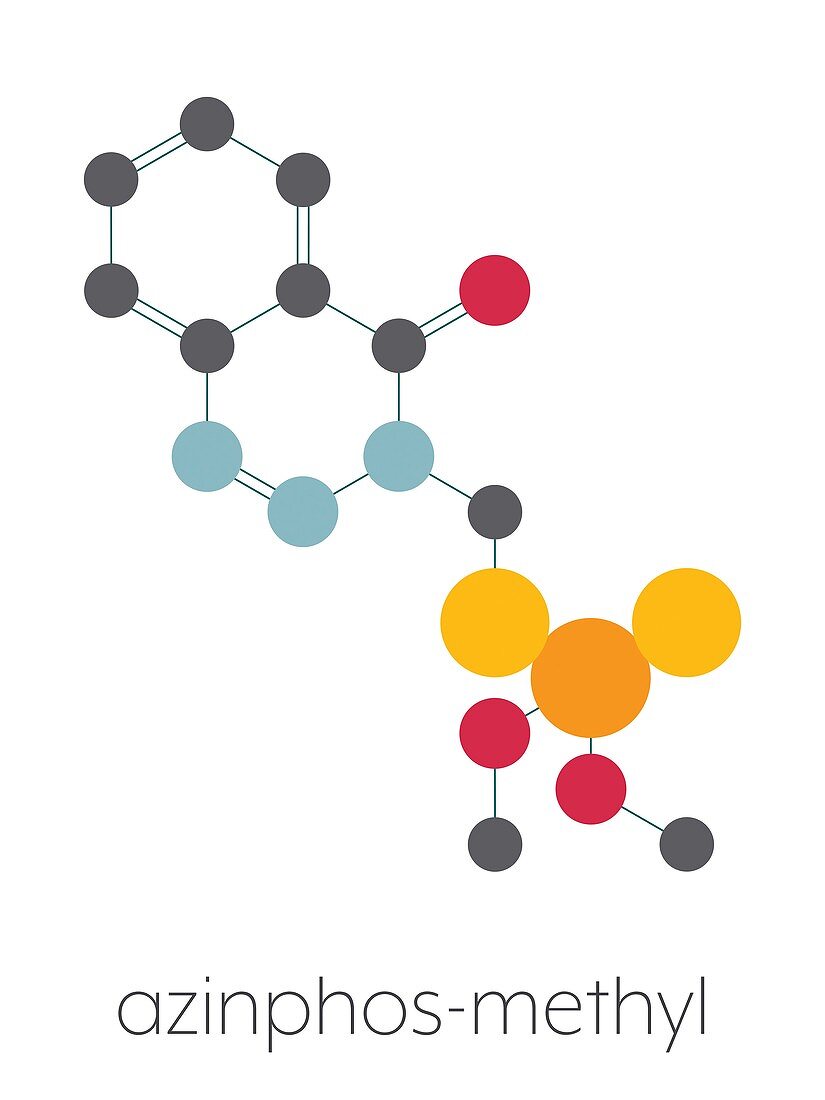 Azinphos-methyl organophosphate insecticide, illustration