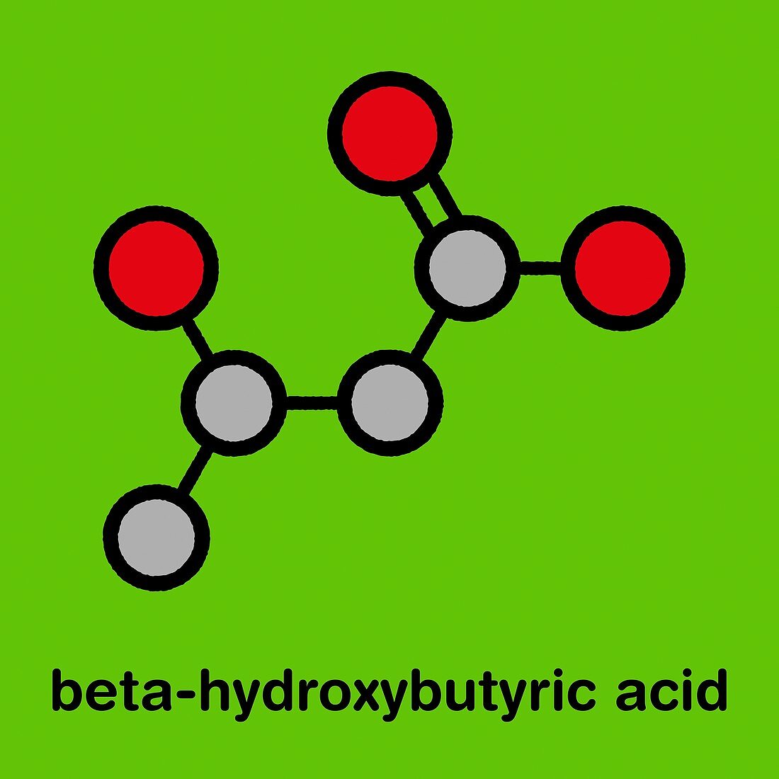Beta-hydroxybutyric acid molecule, illustration