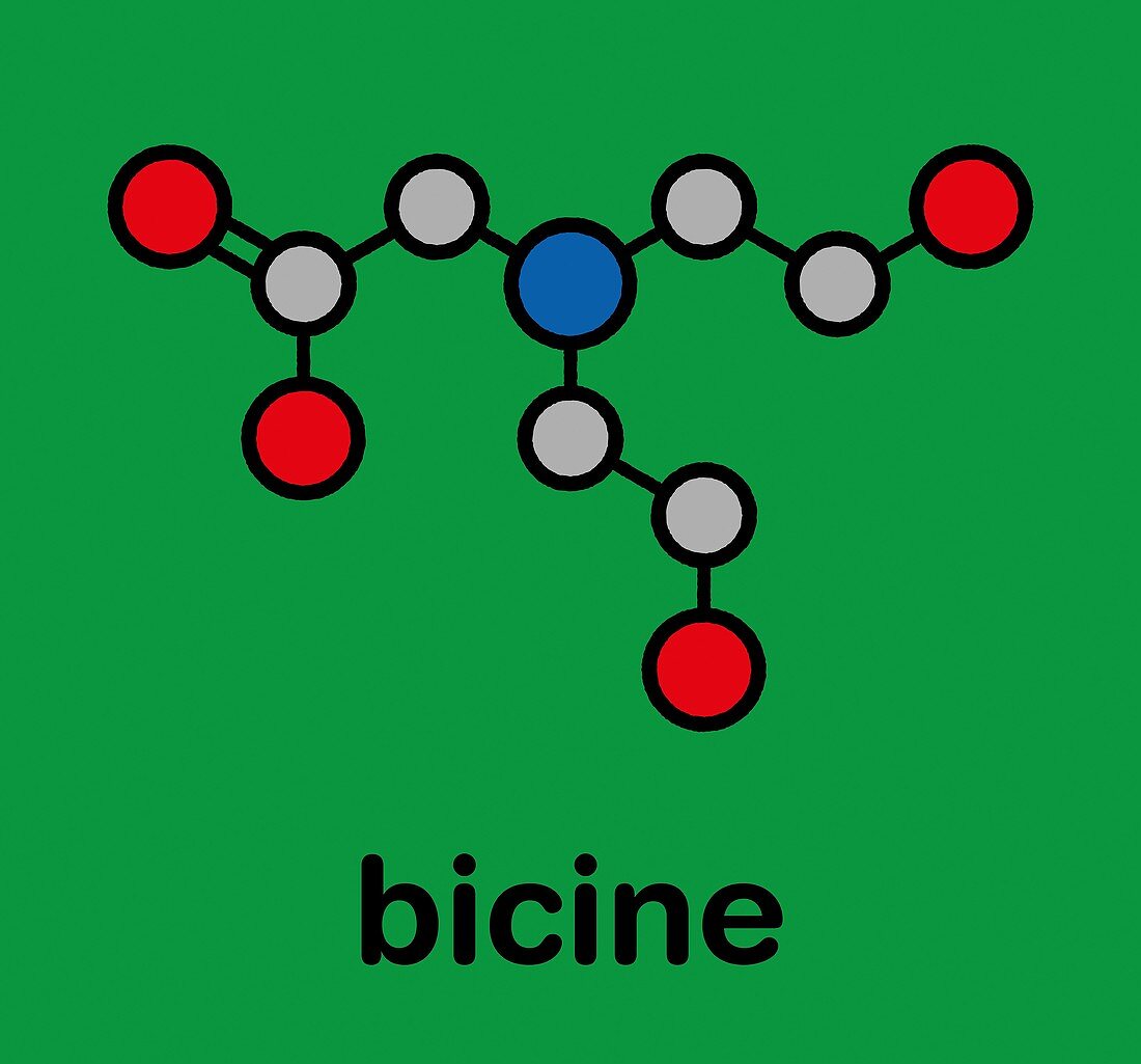 Bicine buffering agent molecule, illustration