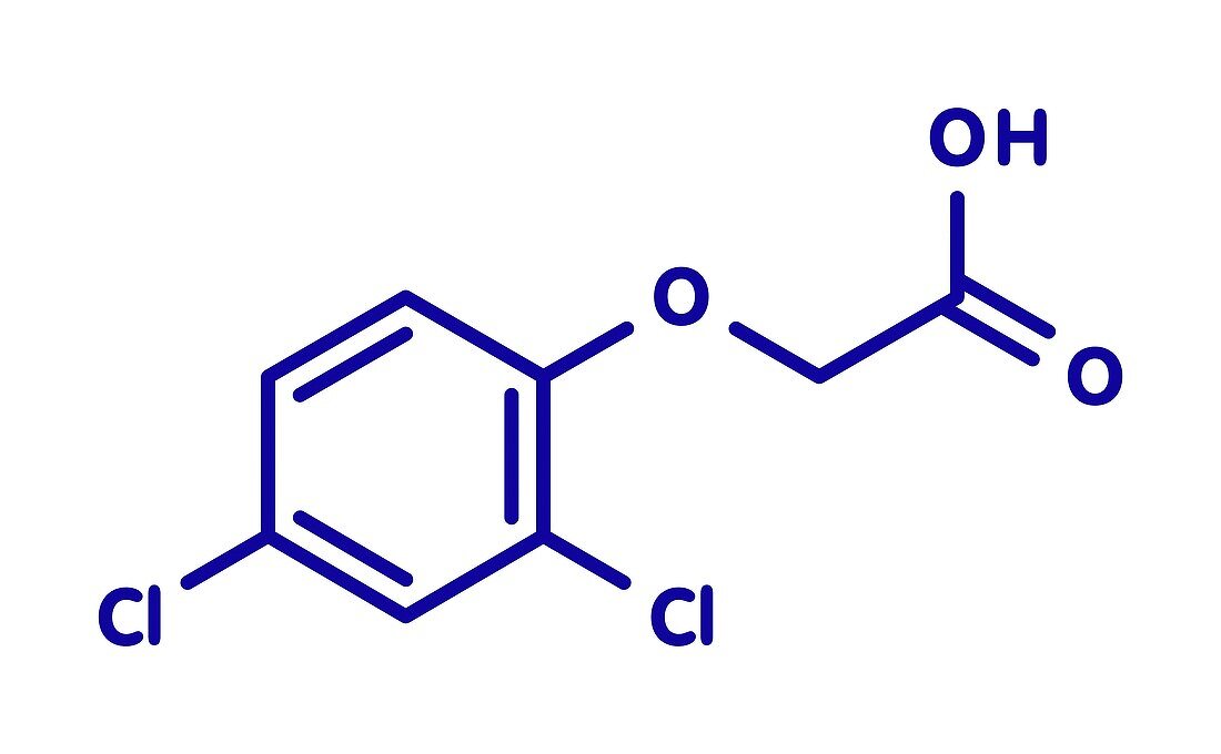 2, 4-D Agent Orange molecule, illustration