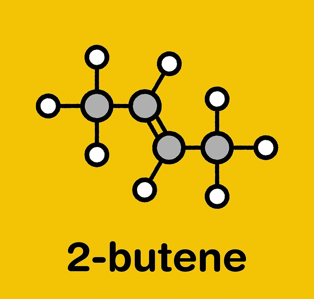 2-butene molecule, illustration