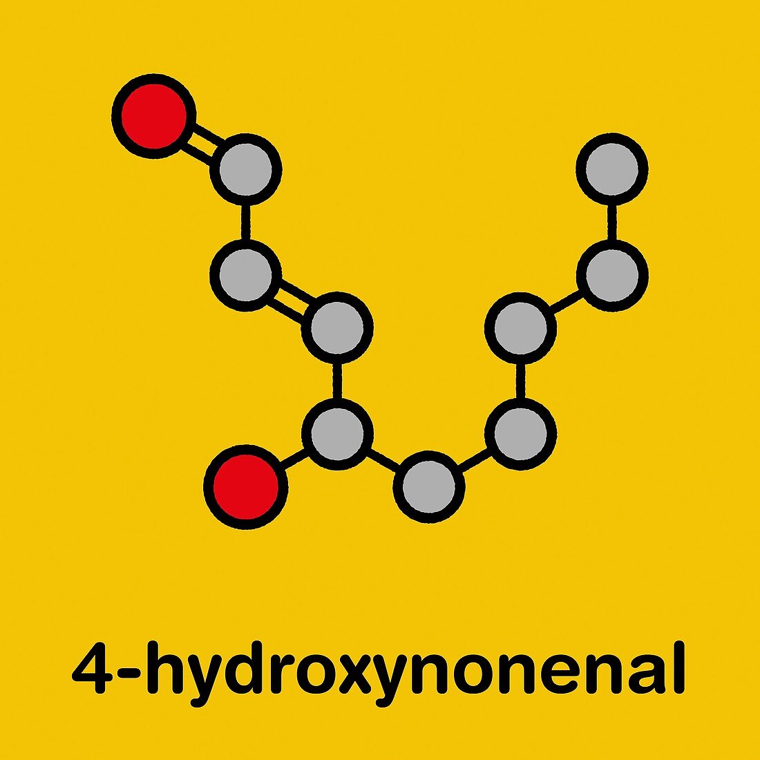 4-Hydroxynonenal molecule, illustration