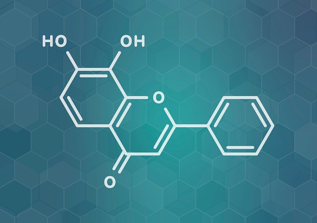 7, 8-Dihydroxyflavone molecule, illustration