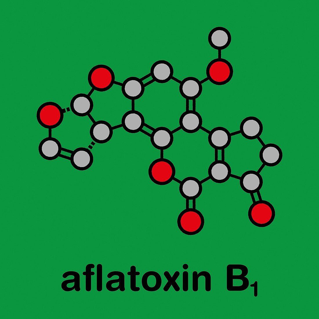 Aflatoxin B1 mould carcinogenic molecule, illustration