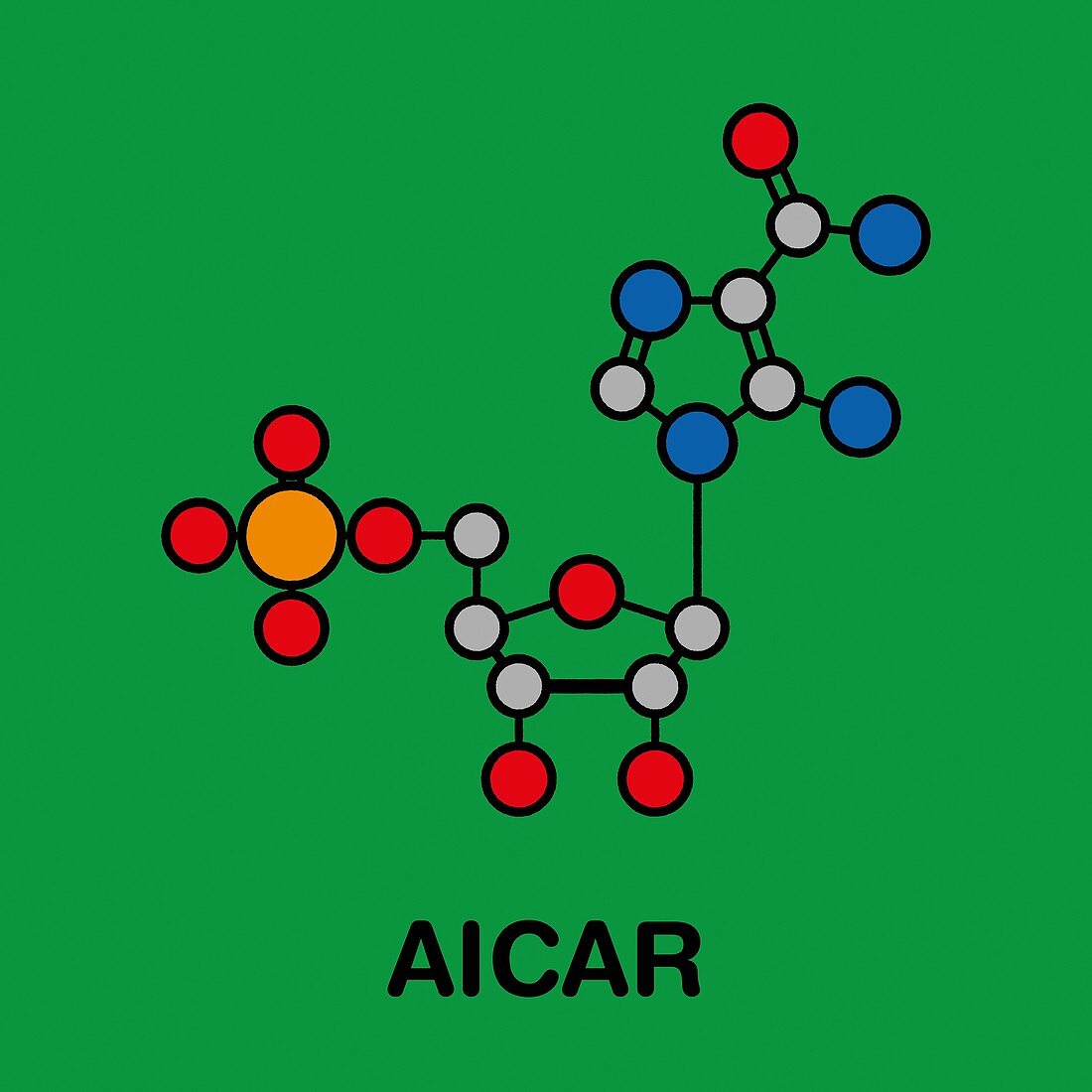 AICAR performance enhancing drug, illustration