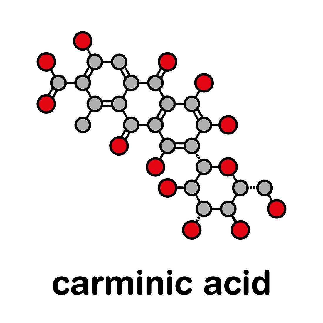 Carminic acid pigment molecule, illustration