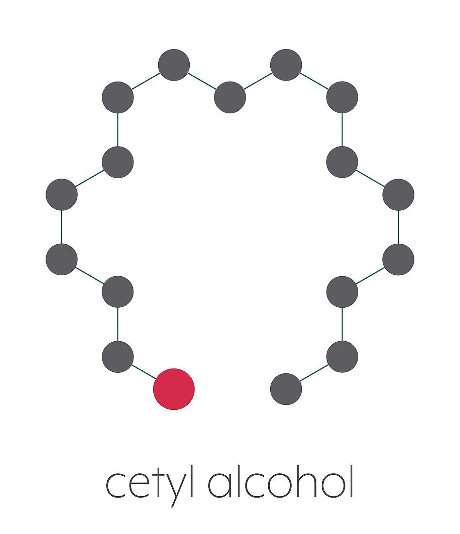 Cetyl alcohol molecule, illustration