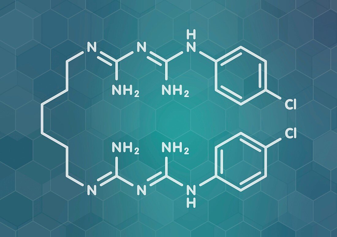 Chlorhexidine antiseptic molecule, illustration