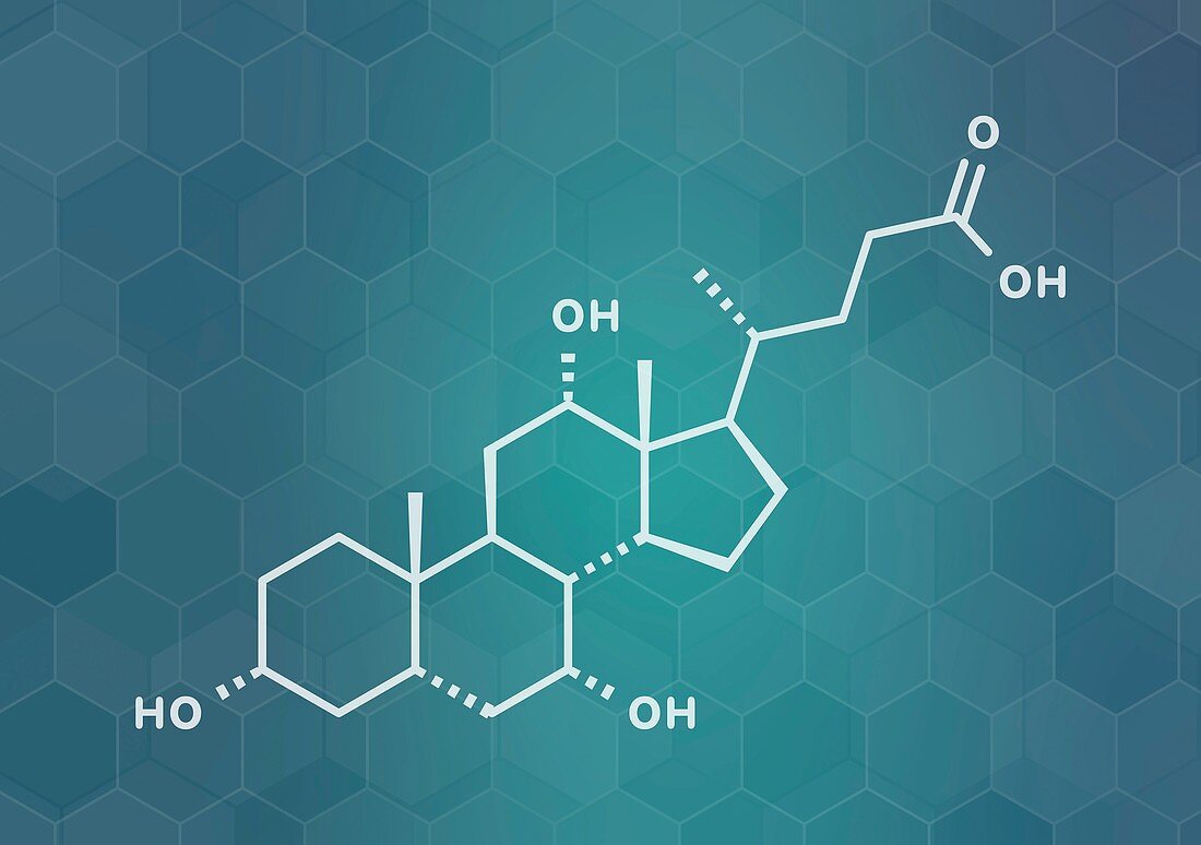Cholic acid molecule, illustration