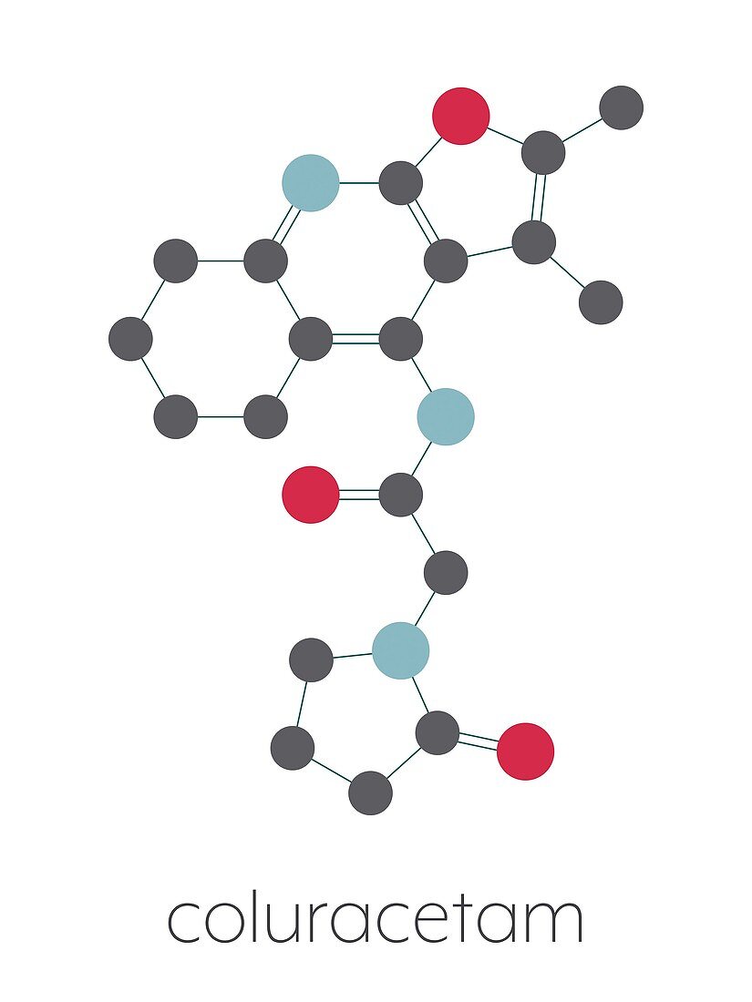 Coluracetam molecule, illustration
