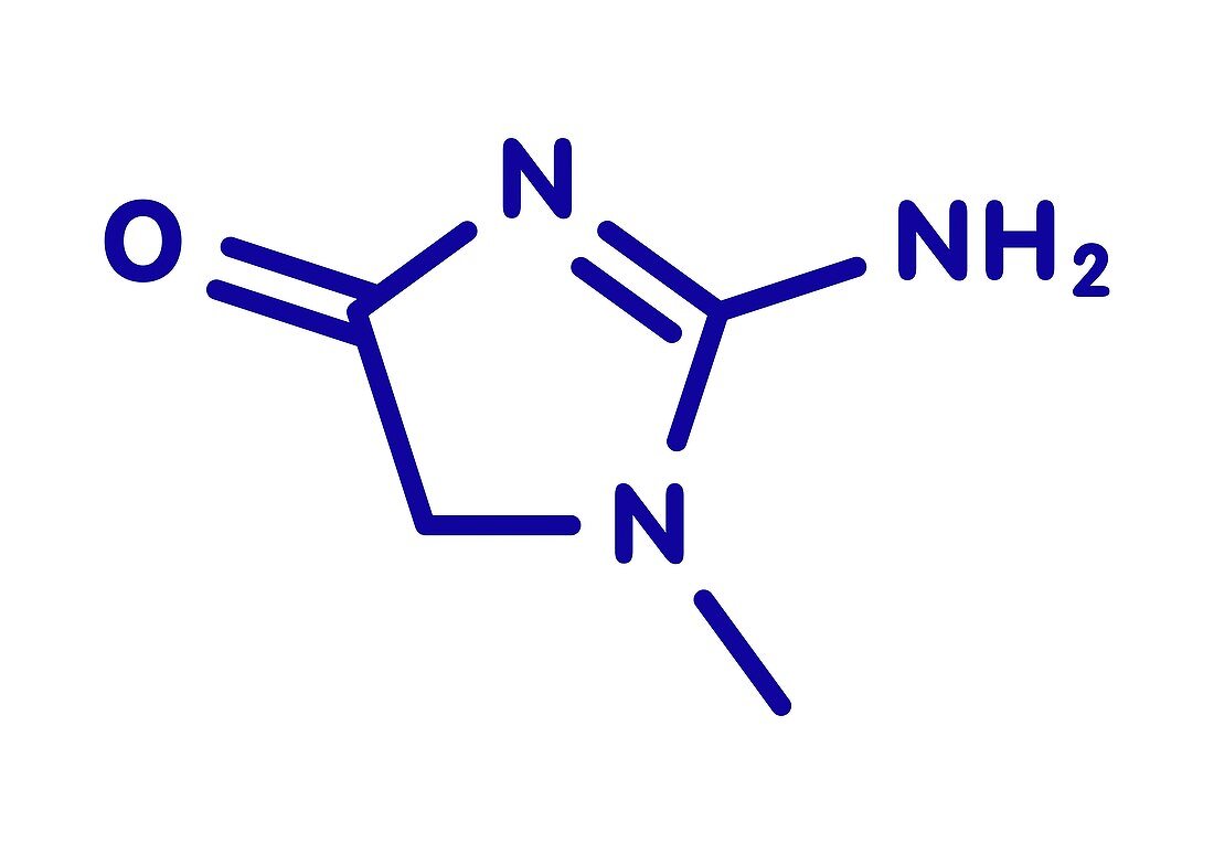Creatinine molecule, illustration