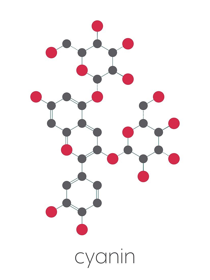 Cyanin molecule, illustration