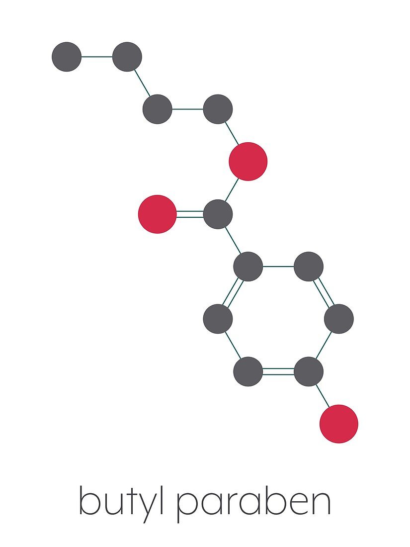 Butyl paraben preservative molecule, illustration