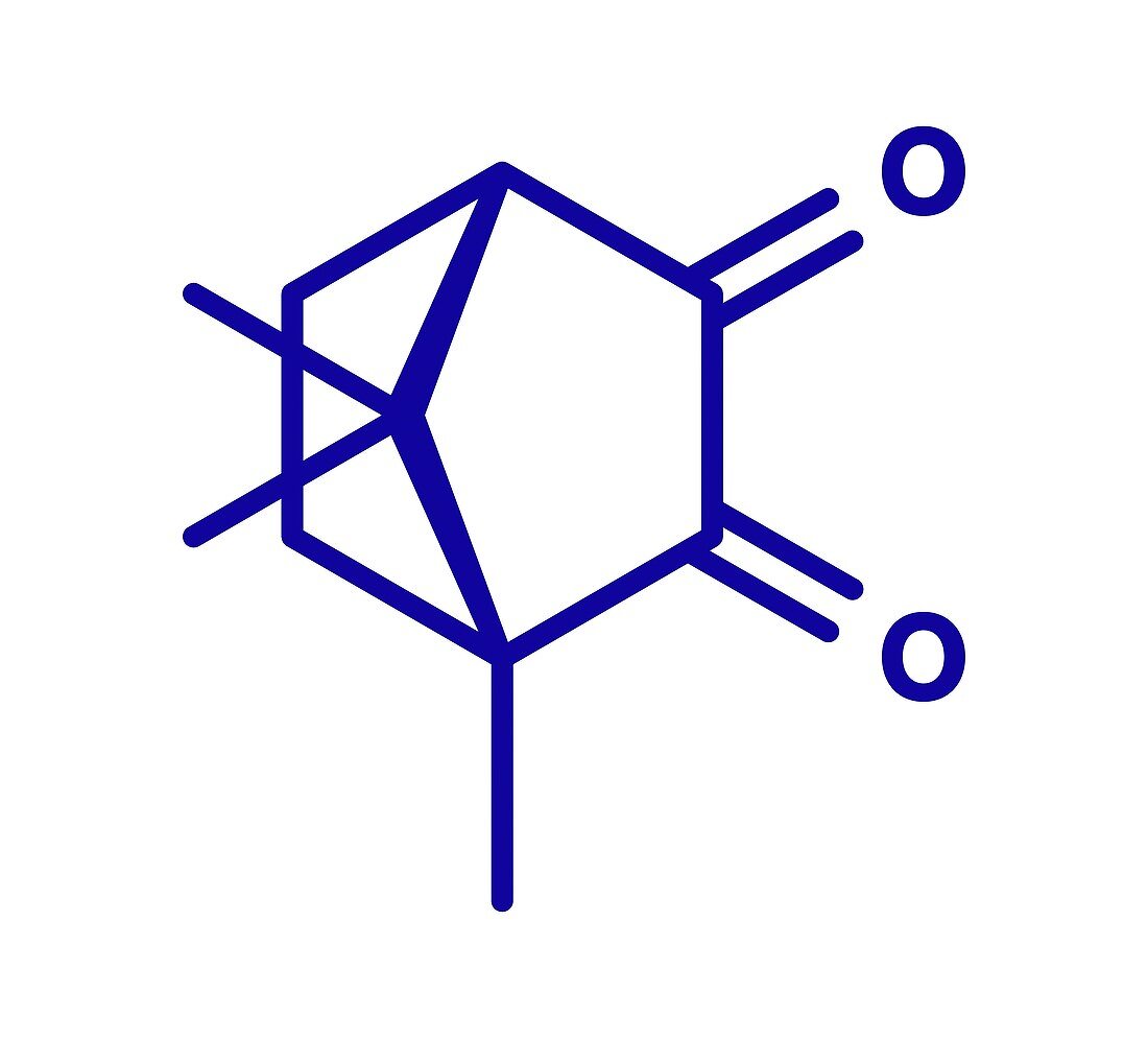 Camphorquinone photoinitiator molecule, illustration