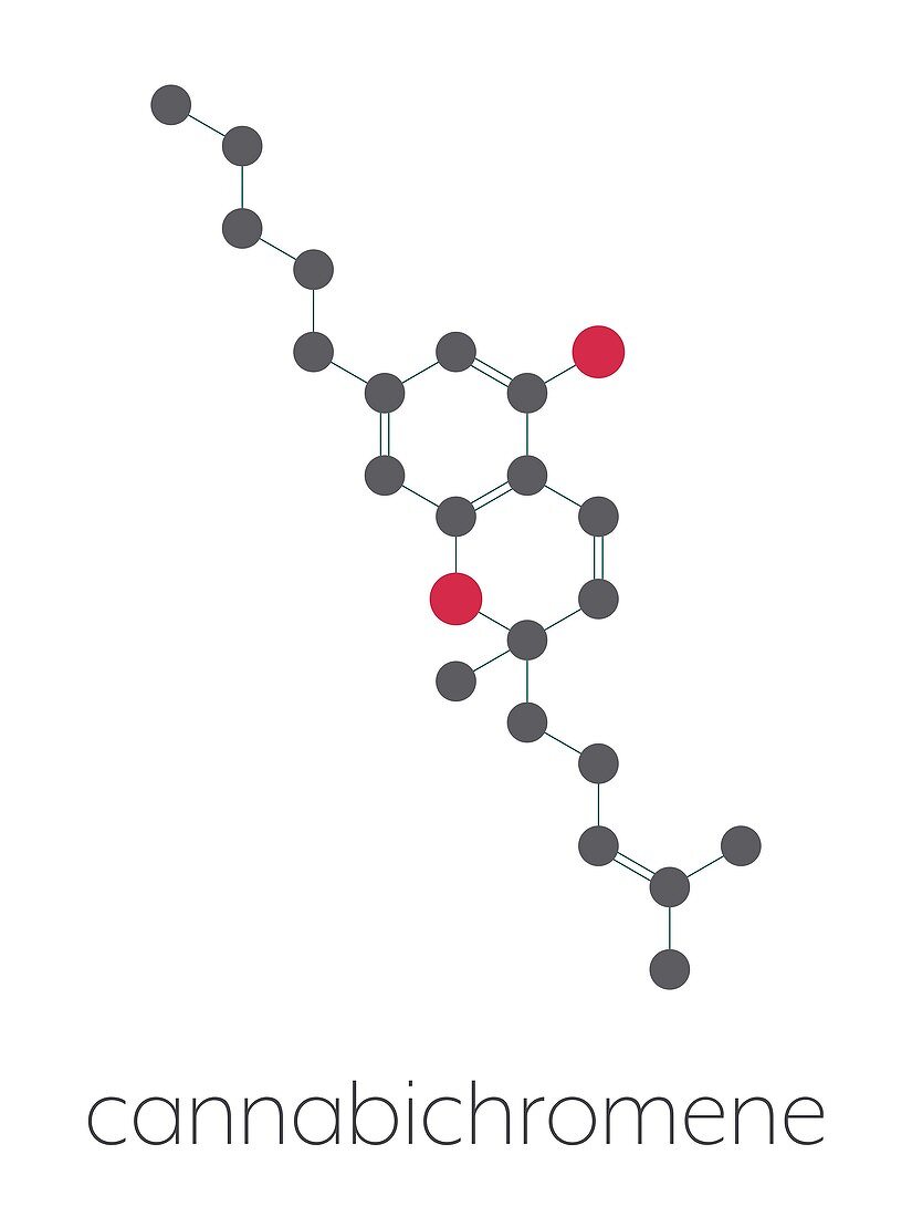 Cannabichromene cannabinoid molecule, illustration