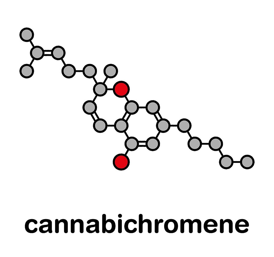 Cannabichromene cannabinoid molecule, illustration