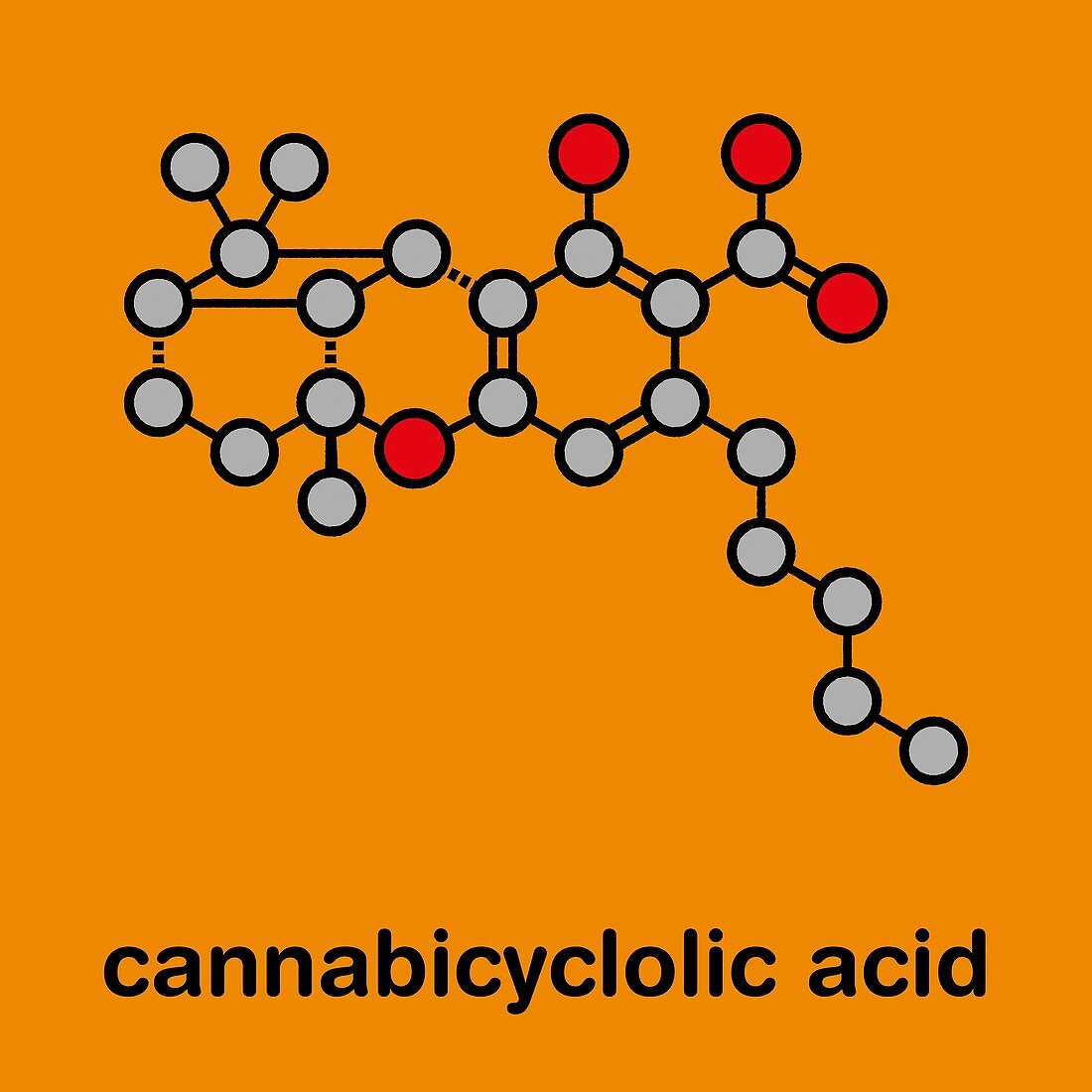 Cannabicyclolic acid cannabinoid molecule, illustration