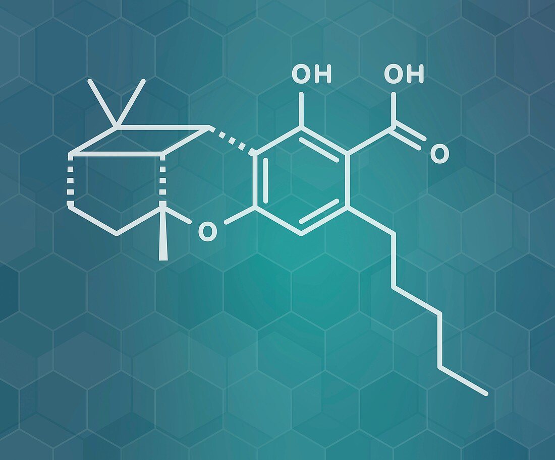 Cannabicyclolic acid cannabinoid molecule, illustration