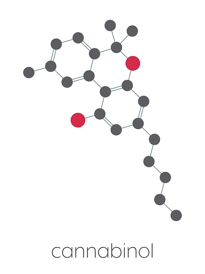 Cannabinol cannabinoid molecule, illustration