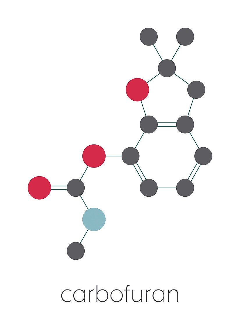 Carbofuran carbamate pesticide molecule, illustration