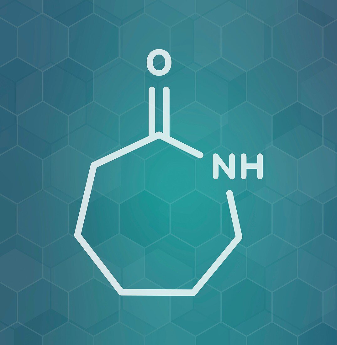 Caprolactam molecule, illustration