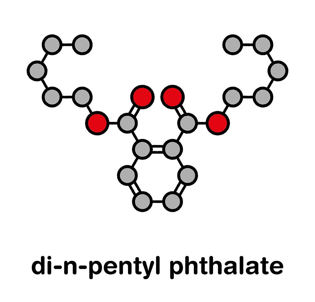 Di-n-pentyl phthalate plasticizer molecule, illustration