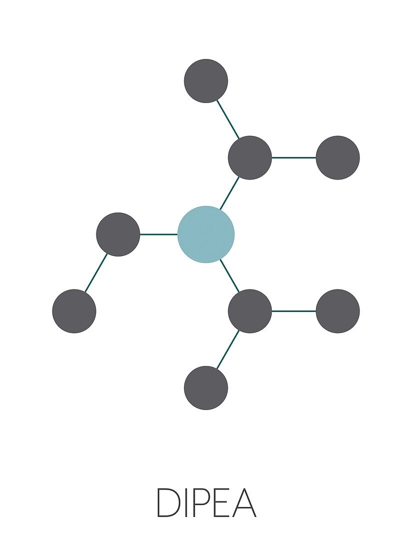 DIPEA molecule, illustration