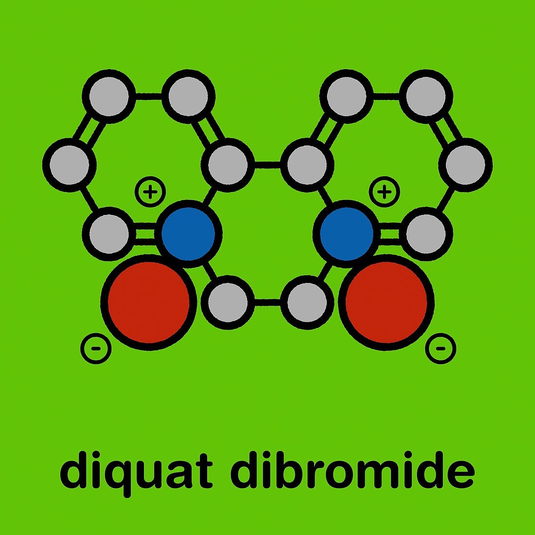 Diquat dibromide contact herbicide molecule, illustration