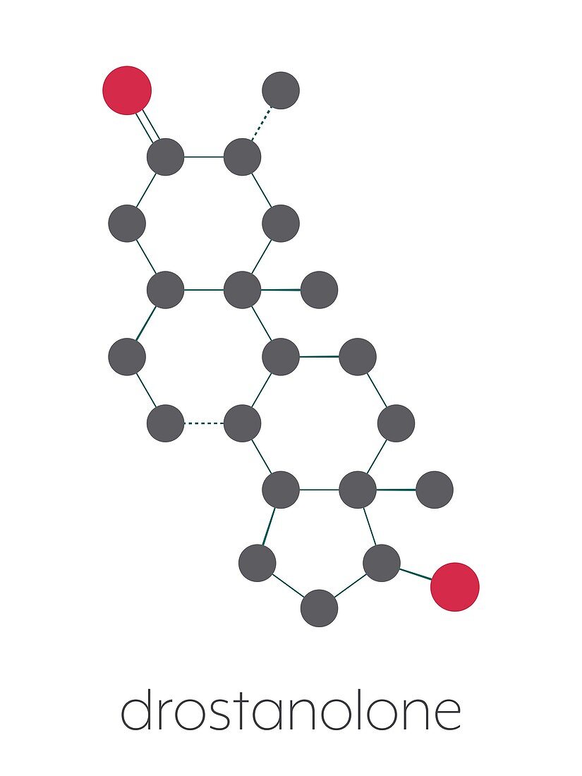 Drostanolone anabolic steroid molecule, illustration