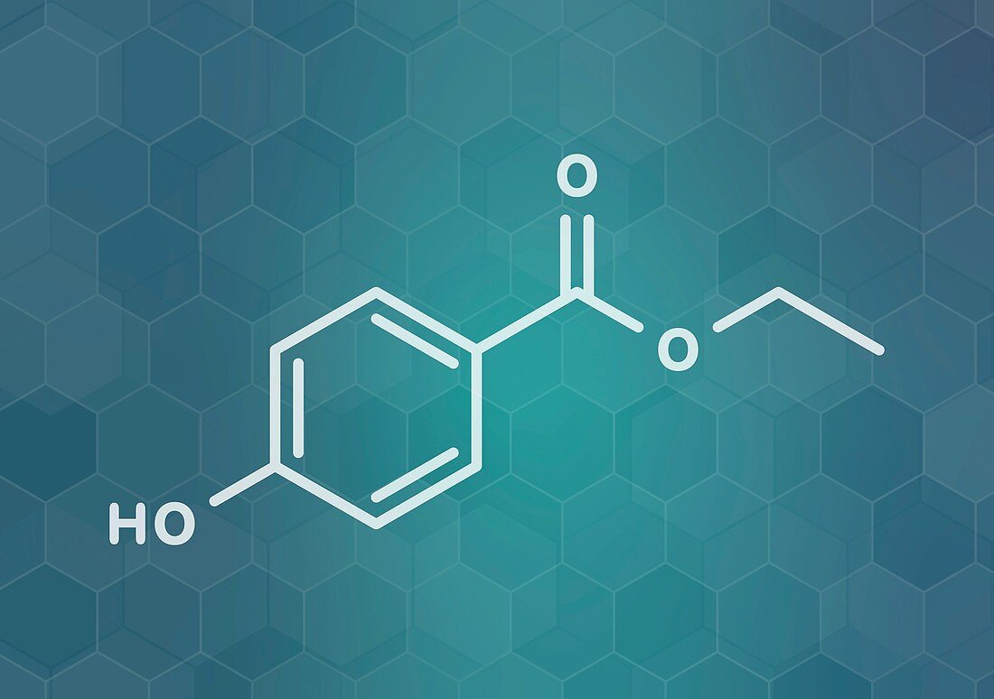 Ethyl paraben preservative molecule, illustration