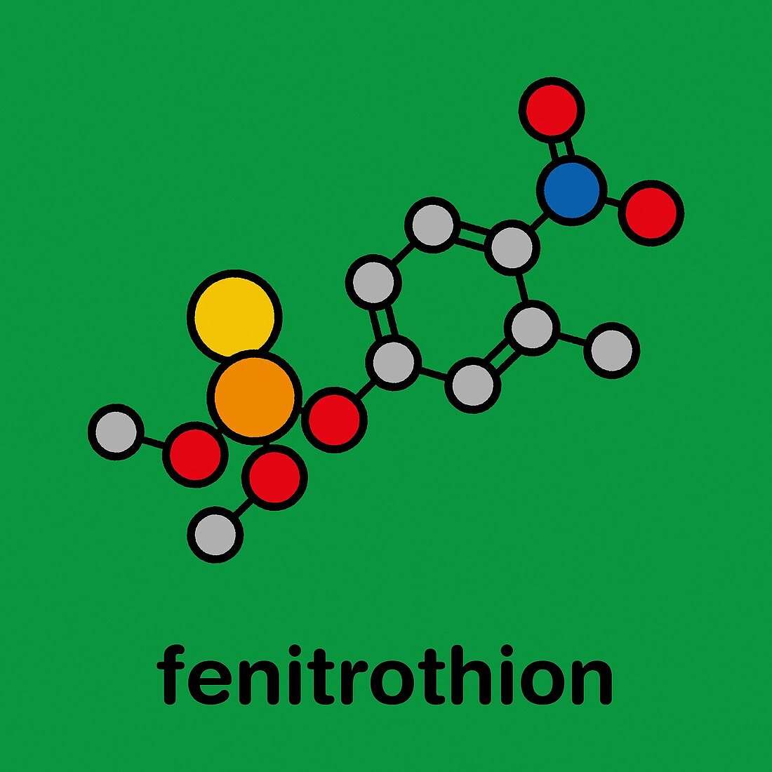 Fenitrothion phosphorothioate insecticide, illustration