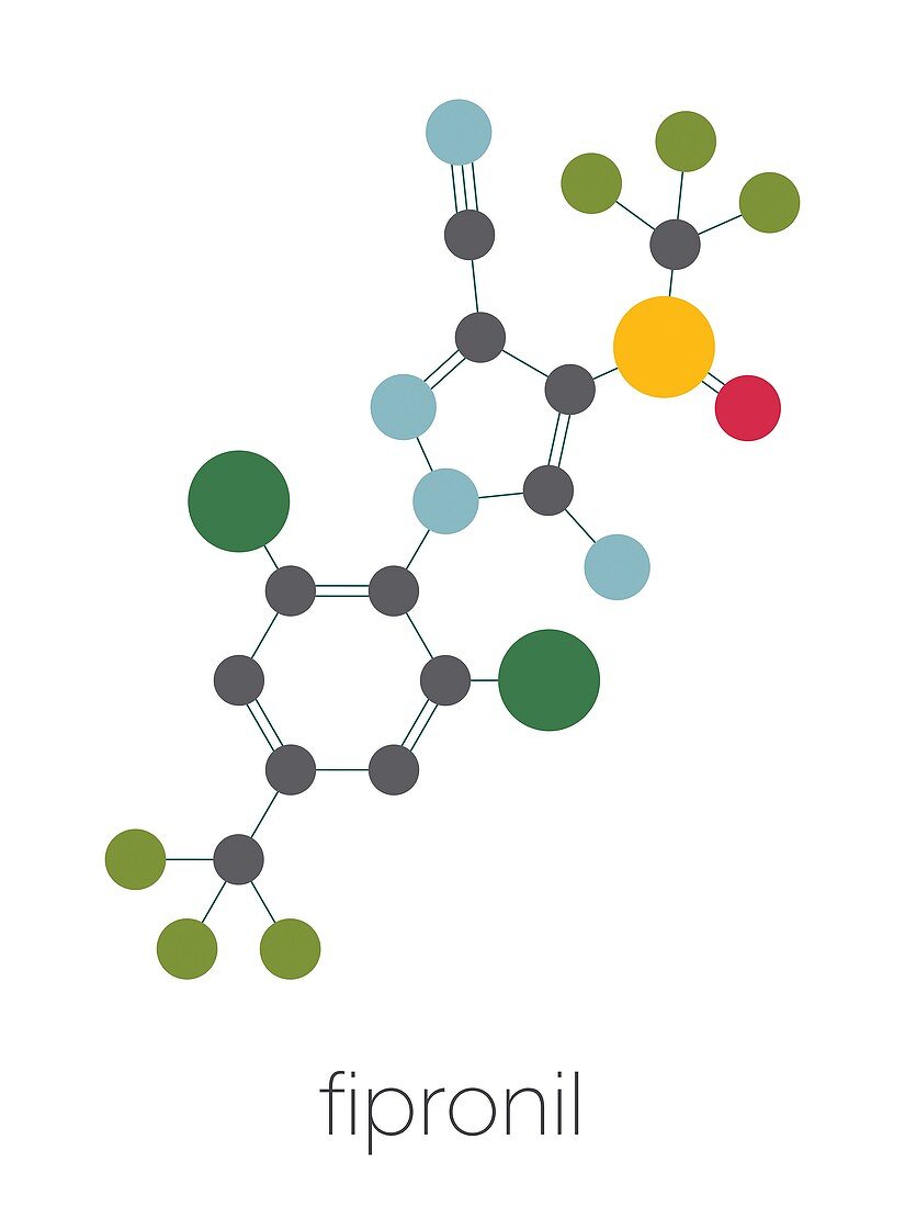 Fipronil insecticide molecule, illustration