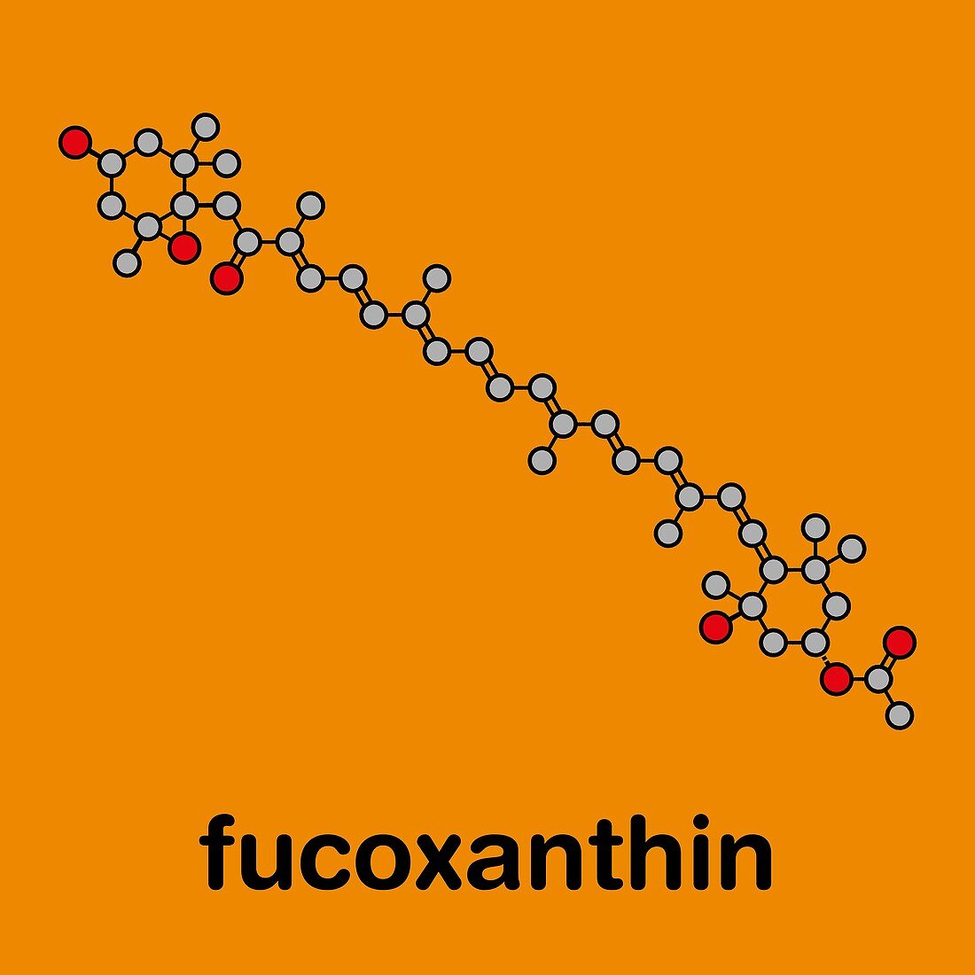 Fucoxanthin brown algae pigment molecule, illustration