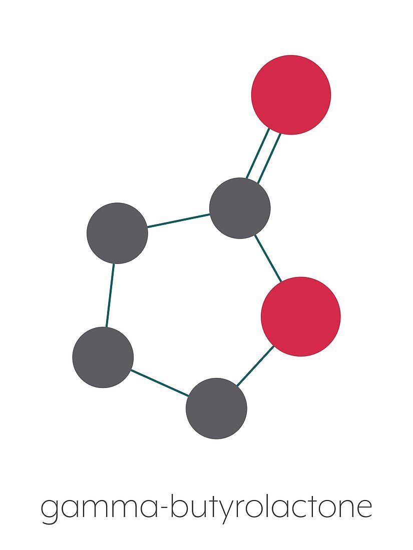 Gamma-butyrolactone solvent molecule, illustration