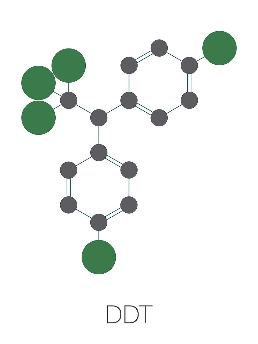 DDT molecule, illustration