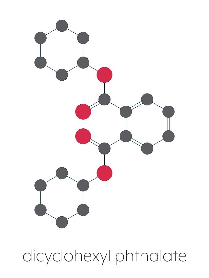 Dicyclohexyl phthalate plasticizer molecule, illustration