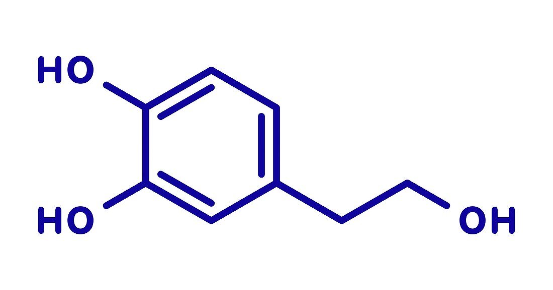 Hydroxytyrosol olive oil antioxidant molecule, illustration