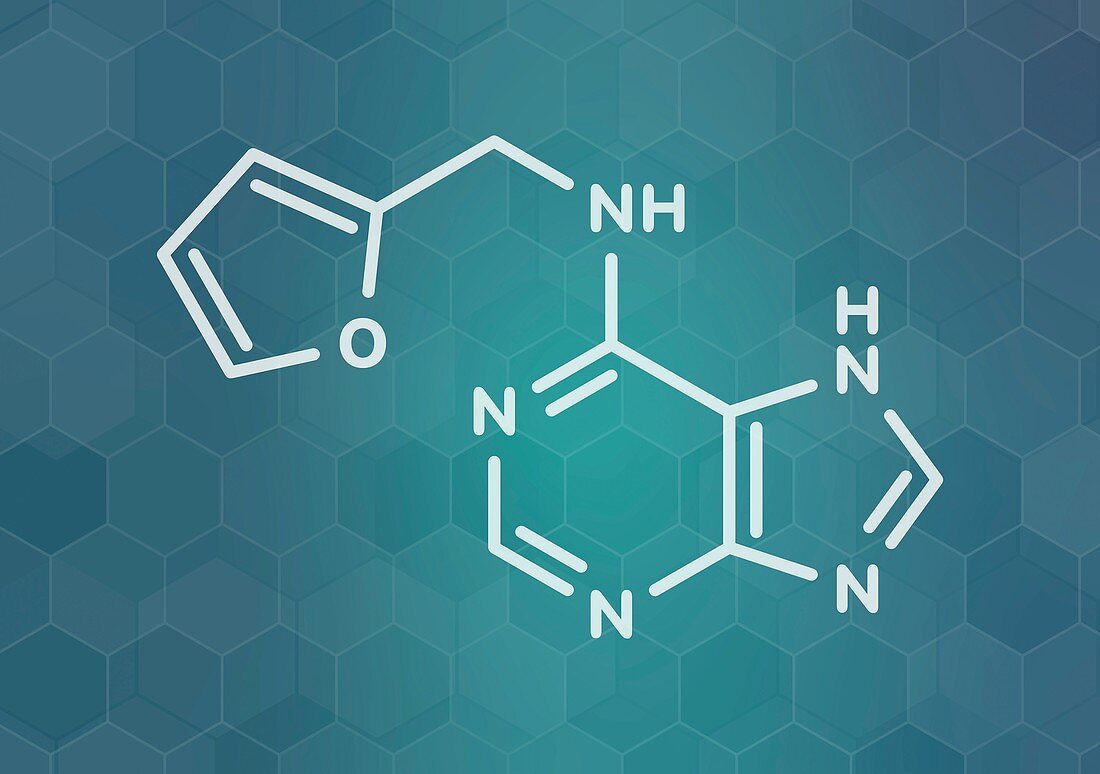 Kinetin plant hormone molecule, illustration