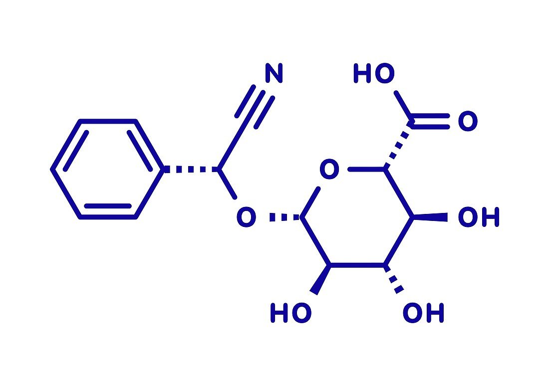 Laetrile molecule, illustration