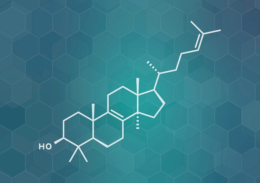 Lanosterol molecule, illustration