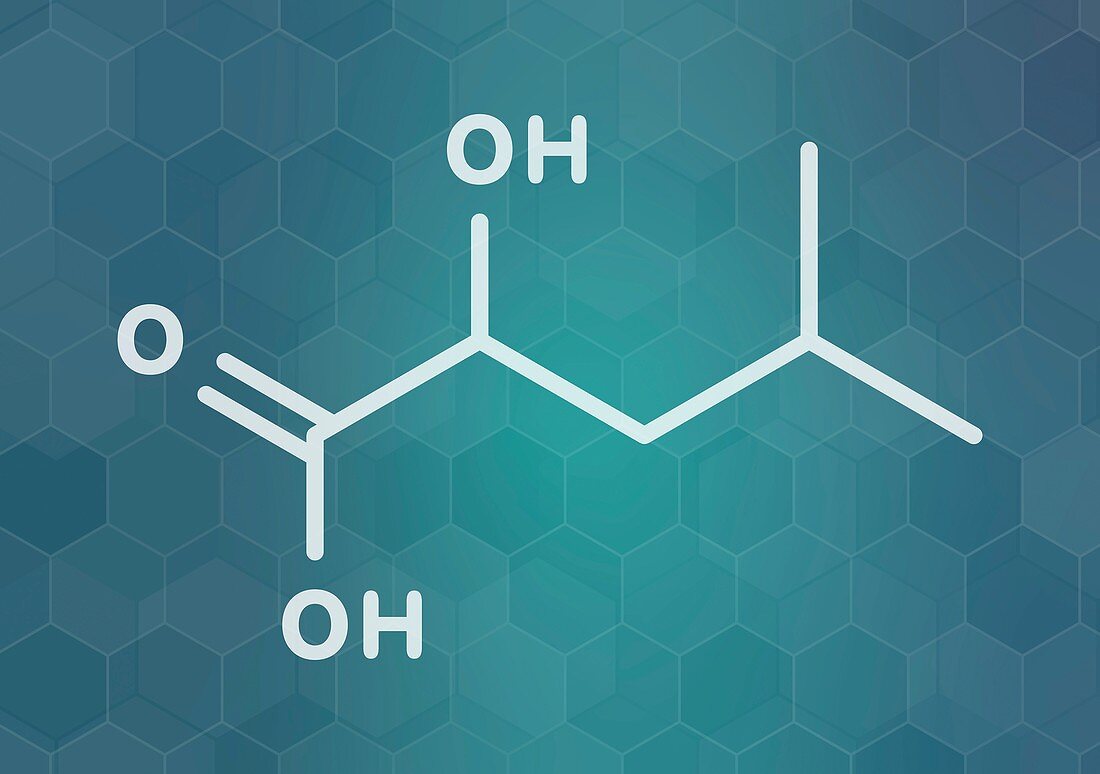 Leucic acid molecule, illustration