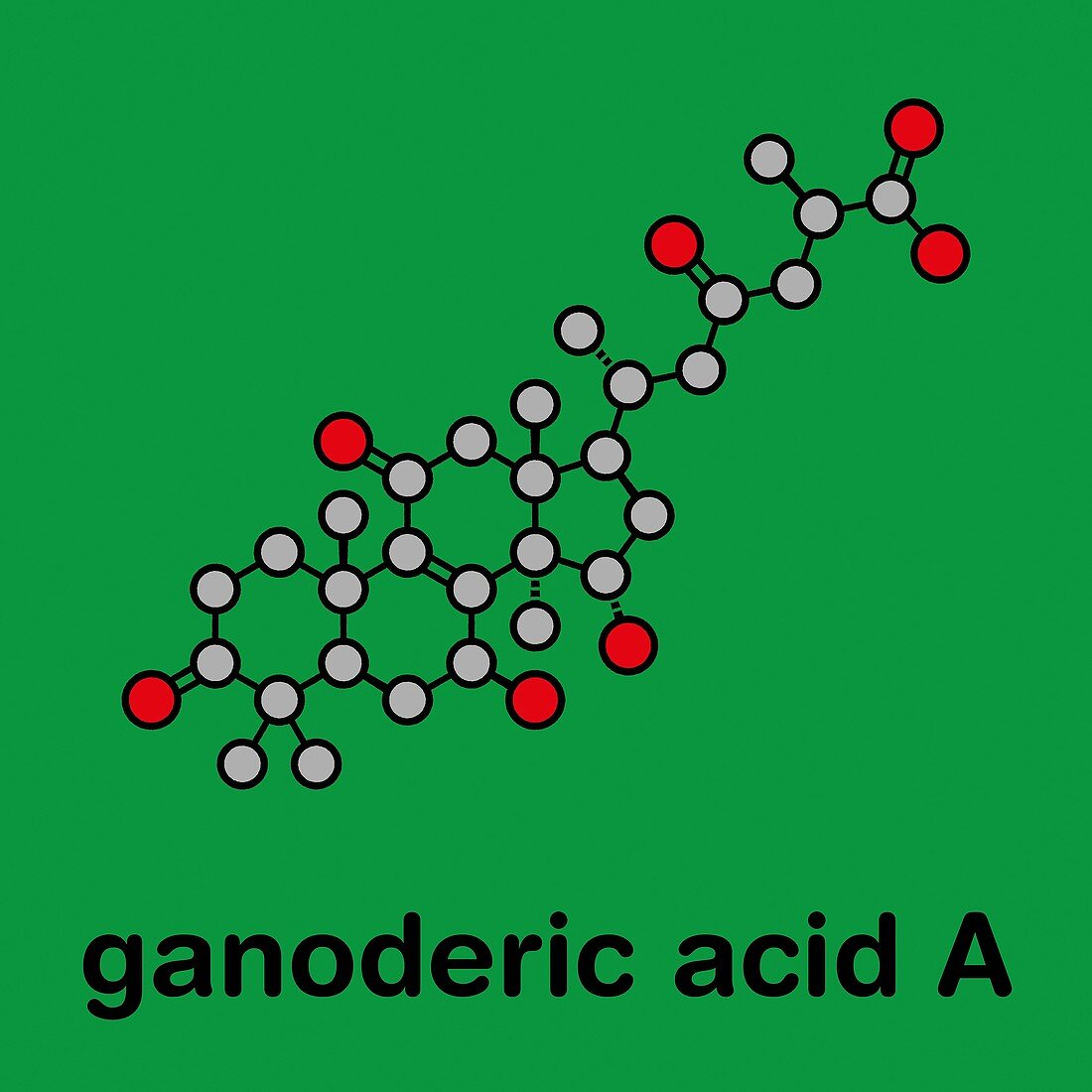 Ganoderic acid A molecule, illustration