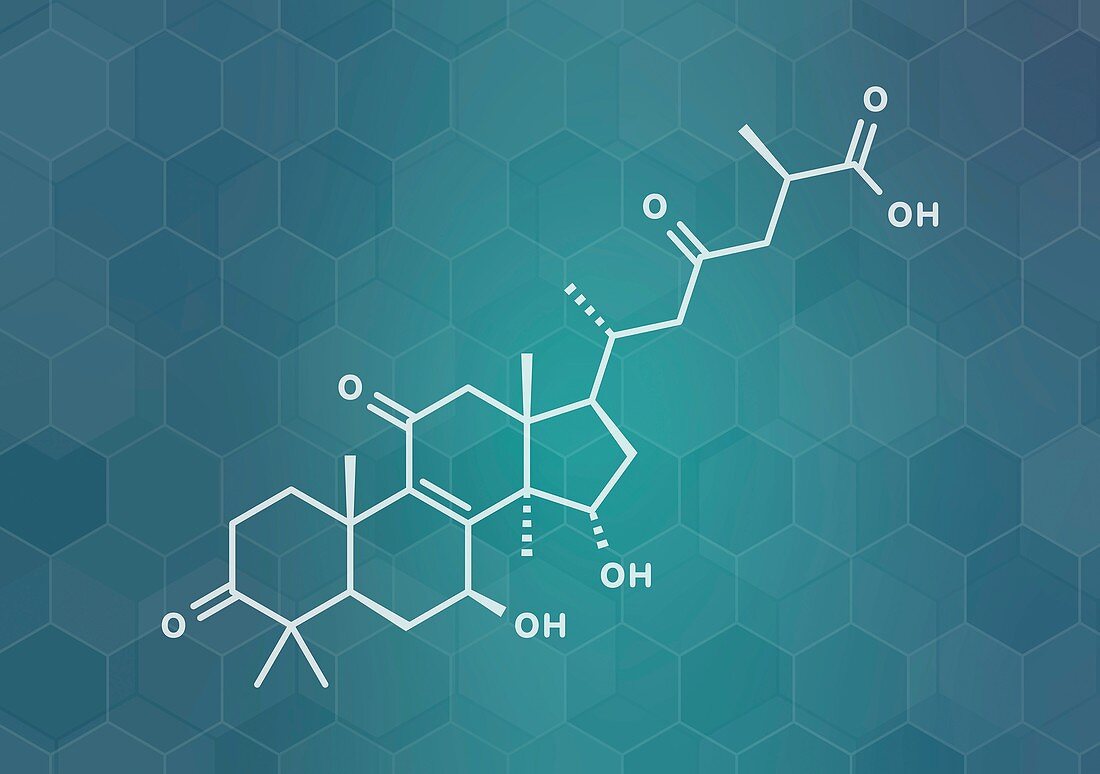 Ganoderic acid A molecule, illustration